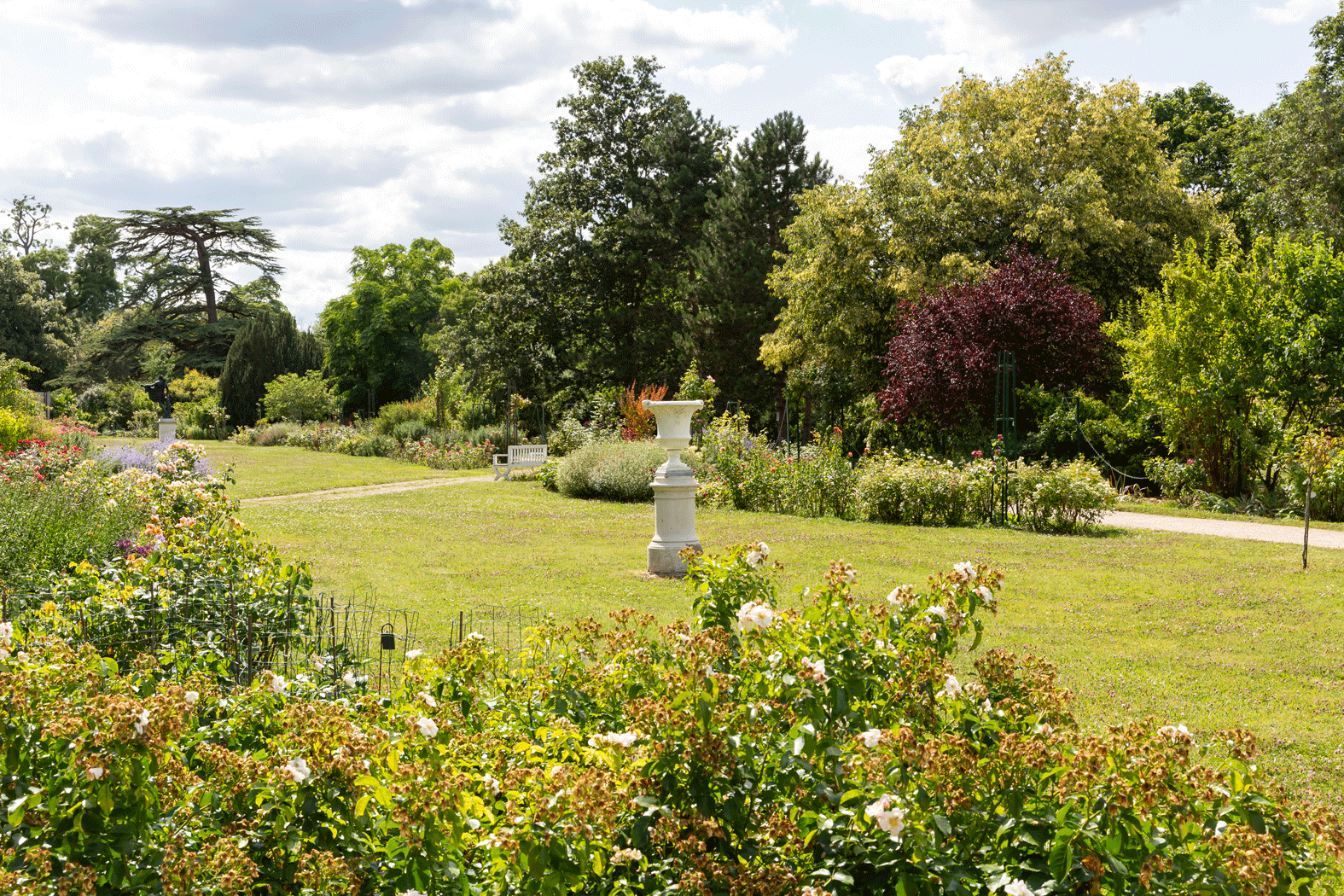 Pelouse bordée de rosiers, arbres variés et vase en pierre au centre